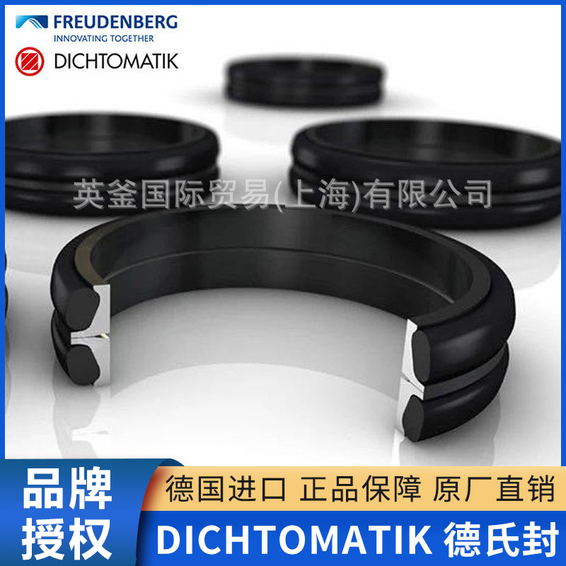 Dichtomatik德氏封骨架油封